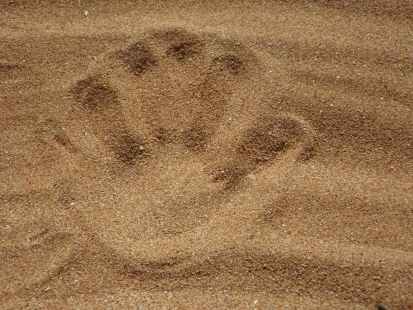 palm print on sand